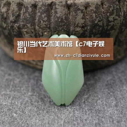 银川当代艺术美术馆【c7电子娱乐】