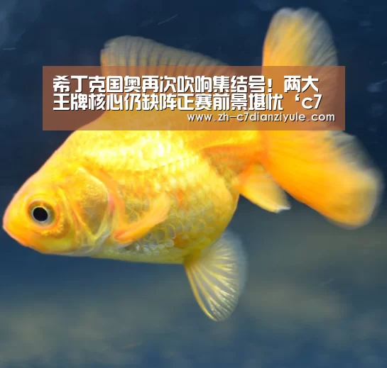 希丁克国奥再次吹响集结号!两大王牌核心仍缺阵正赛前景堪忧‘c7电子娱乐’(图3) c7电子娱乐