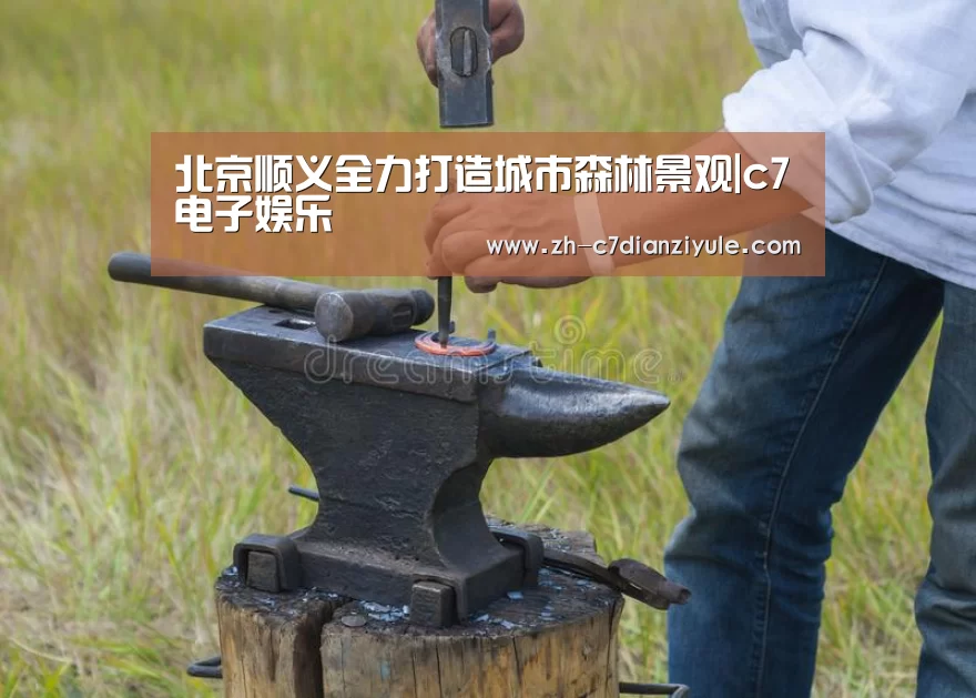 北京顺义全力打造城市森林景观|c7电子娱乐(图3) c7电子娱乐